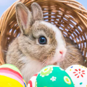 easter opening 2018 FI