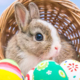 easter opening 2018 FI