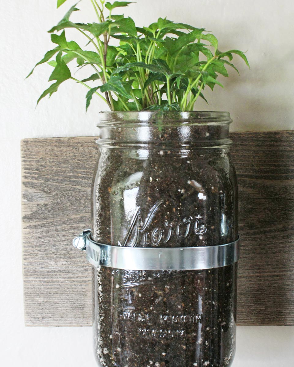 Herb Planter 3 Herb Planter 3